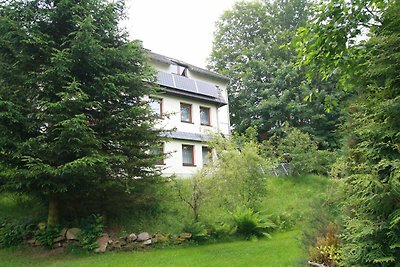 Schöne Ferienwohnung mit Terrasse, Altenberg