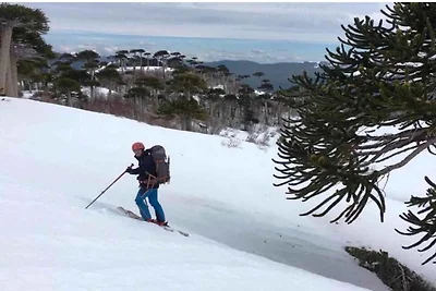 Modern appartement vlakbij de piste