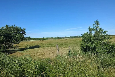 6 persoons vakantie huis in Blåvand