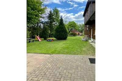 Buchfink im Haus Tanneneck