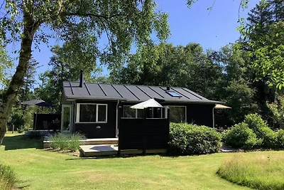 5 Sterne Ferienhaus in Øster Assels