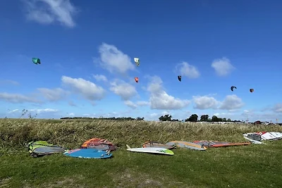 Bij de Saaler Bodden