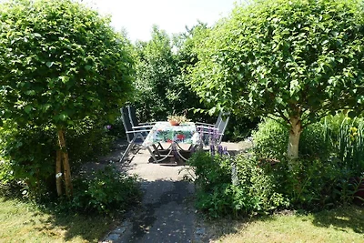La casa frisona della nonna Anna