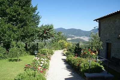 Ferienhaus in Montecarelli mit Swimmingpool
