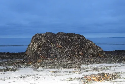 8 Personen Ferienhaus in Vig-By Traum
