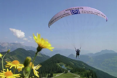 Apartment in Aschau im Zillertal mit Balkon