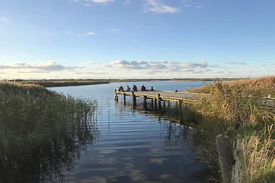 Serenita sul mare a Nymindegab-By Traum
