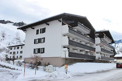 Gemütliches Appartement in Skigebietnähe in M...