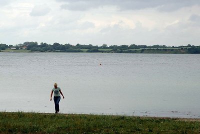 12 Personen Ferienhaus in Aabenraa-By Traum