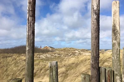 Boerderij in De Cocksdorp