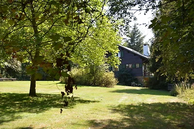 Chalet a Biטvre per 9 persone
