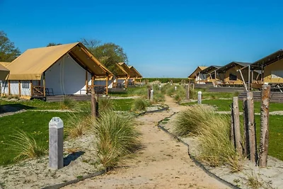 Ferienhaus Erholungsurlaub Biddinghuizen