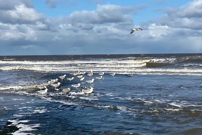 Chalet in Sint Maartenszee am Sandstrand