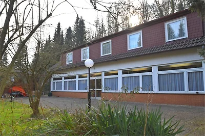 Ruim vakantiehuis bij het bos