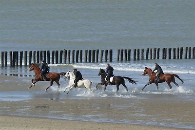 Appartement in Groede nabij zee strand