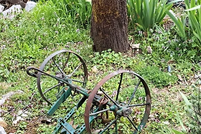 Apartment Rural Podastrana