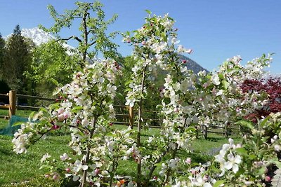 Malerhäusl Rifugio moderno