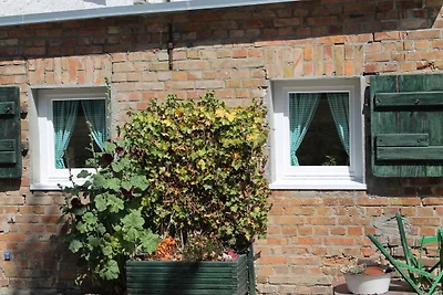 Wohnung in Ribnitz Damgarten