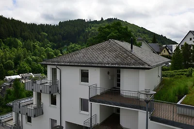 Ampio appartamento per le vacanze a Willingen...