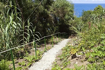 Villa a Castellammare del Golfo con 1 camera ...