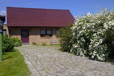 Ferienhaus in Ludorf mit Schwimmbecken