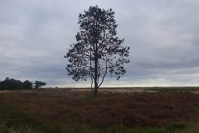 6 Personen Ferienhaus in Hals-By Traum