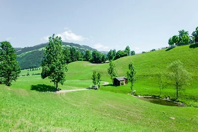 Gemütliche Wohnung in Westendorf in Tirol