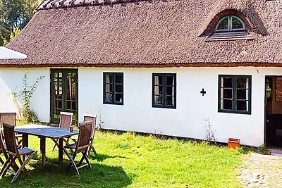 9 persoons vakantie huis in Vig-By Traum