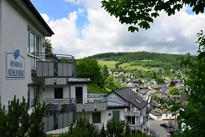 Modernes Apartment in Willingen mit Balkon