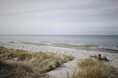 4 Personen vakantie huis in Læsø