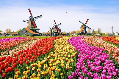 Wellnessretraite aan de rivier