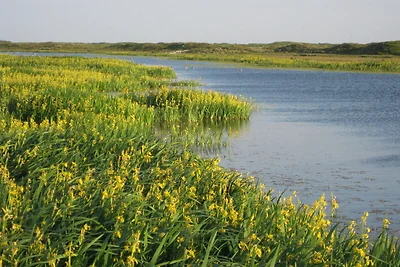 Luxusvilla in der Nähe von Texel