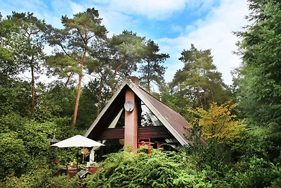 Ampia casa vacanze ad Eersel con caminetto