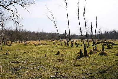 10 Personen Ferienhaus in Dragør-By Traum