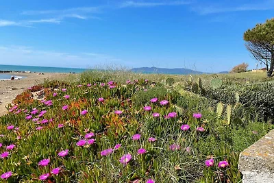 Apartament La Ginestra sulla Spiaggia