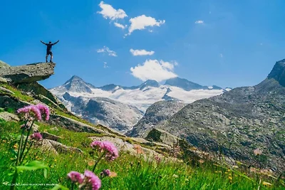 Chalet in Königsleiten nahe Zillertal Arena