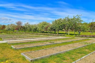 6 persone case ad Sæby-By Traum