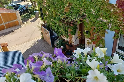 Appartamento a Oberrotweil con vista vigne