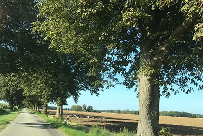 In prossimitá (estate) (<1 km) In prossimitá (estate) (<1 km)