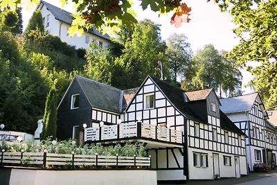 Mooi vakantiehuis bij het skigebied