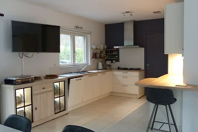 Nieuw huis aan de rand van een groot bos, gro...