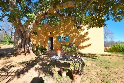 Herrliches Ferienhaus mit privater Terrasse
