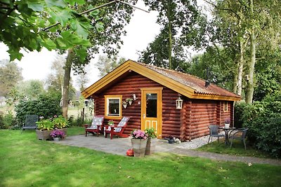 Schönes Ferienhaus in Gramsbergen mit Wald in...