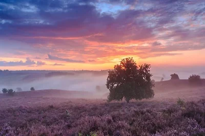 Veluwe-Chalet in Putten nahe dem Zentrum