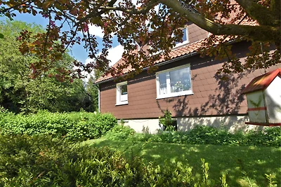Gemütliche Ferienwohnung in Braunlage in...