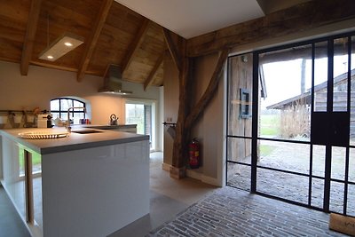Stilvolles Bauernhaus in Nieuwleusen mit eige...