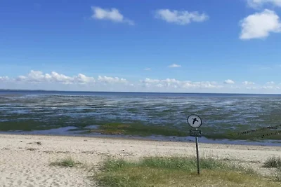 5 Personen Ferienhaus in Rømø-By Traum