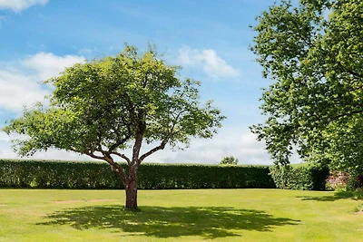 4 Sterne Ferienhaus in Förslöv