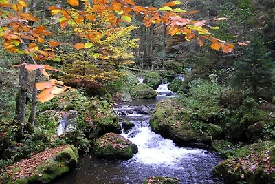 Dom w naturze - widok na Feldberg