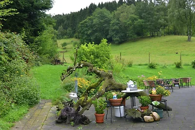 Wohnung in Bruchhausen mit Terrasse